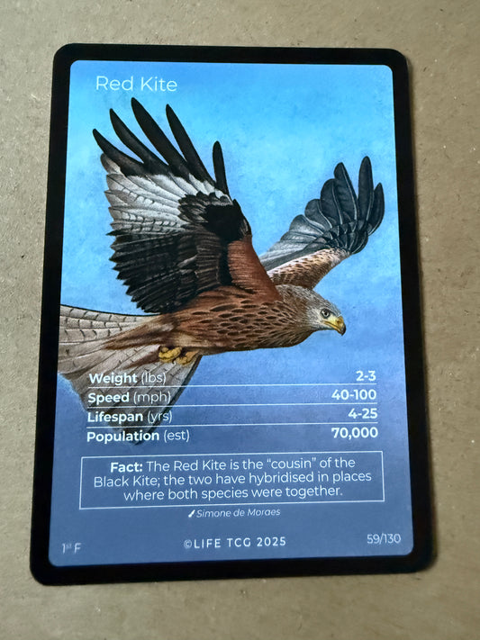 2025 LIFE TCG Birds | Red Kite 1st F #59