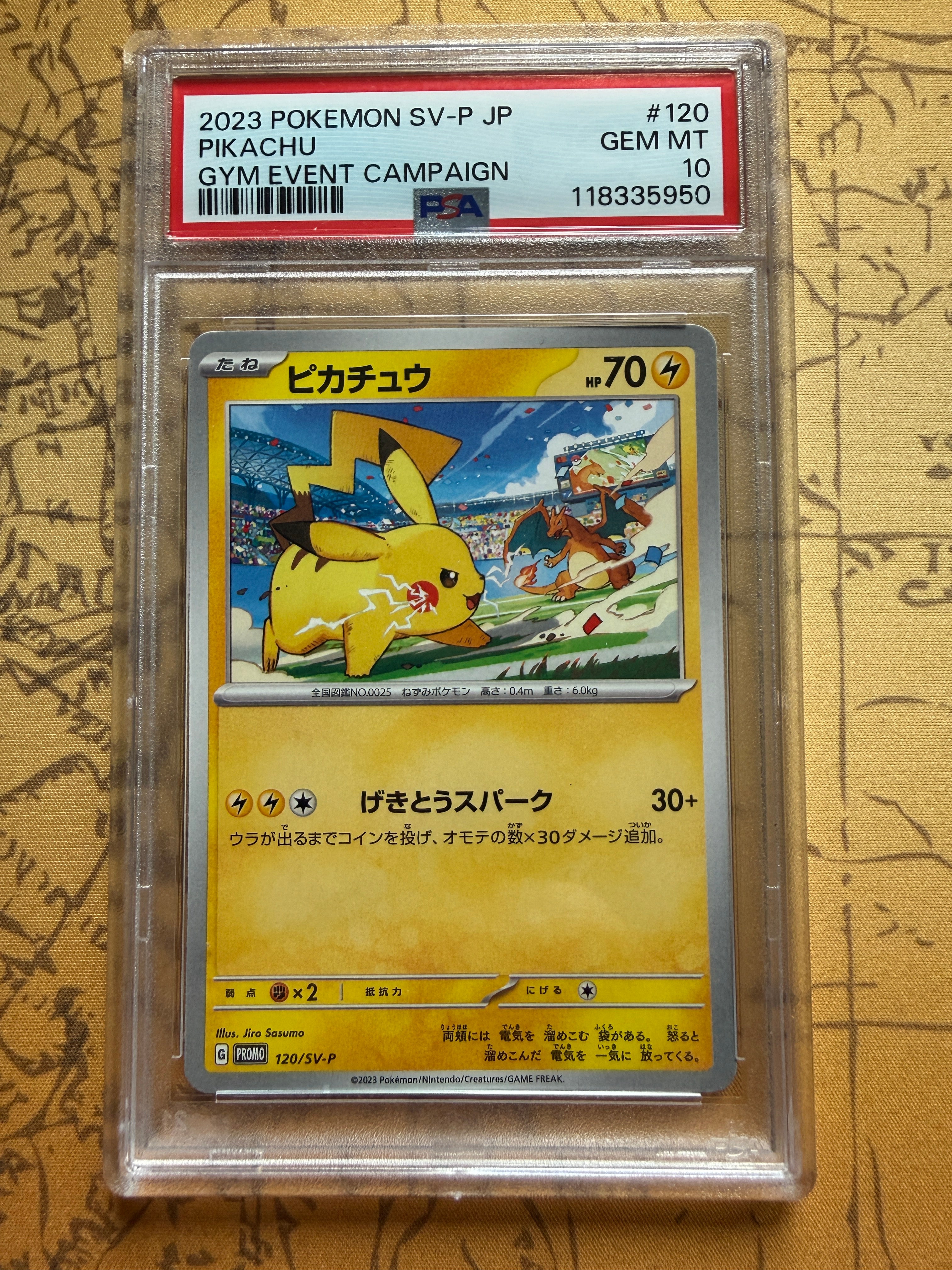 PSA Cards – TCG DEX UK