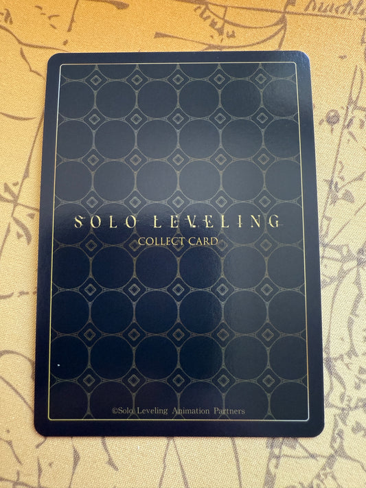 Solo Leveling Mapniverse | Sung Jinwoo Identity Card | SL1E-PM03