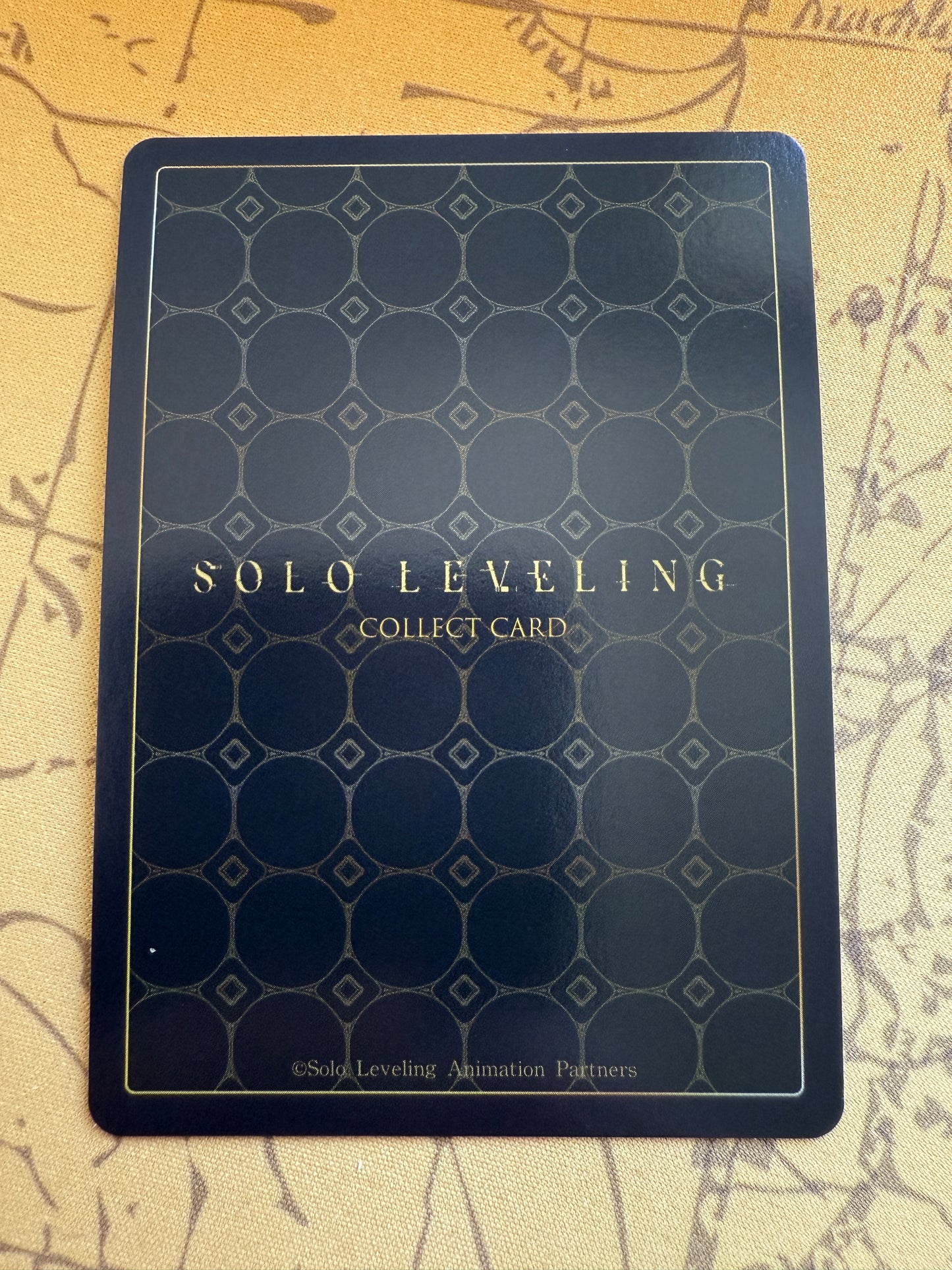 Solo Leveling Mapniverse | Woo Jinchul Identity Card | SL1E-PM06