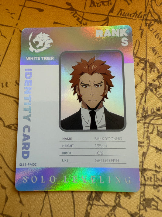 Solo Leveling Mapniverse | Baek Yoonho Identity Card | SL1E-PM02